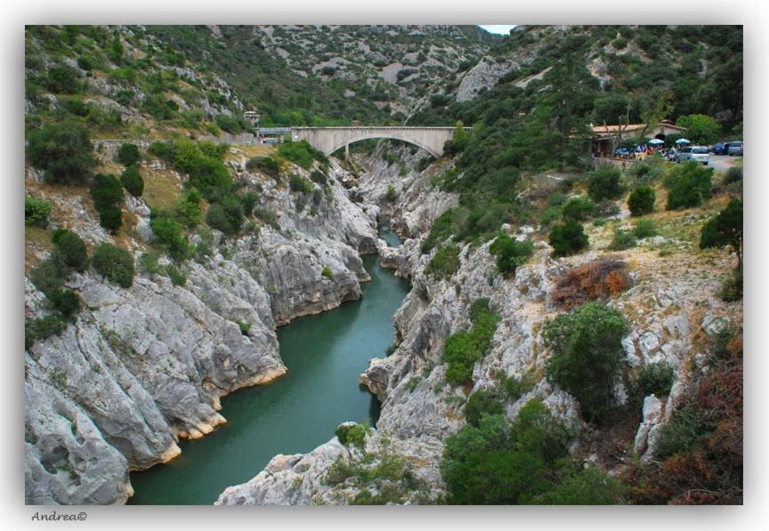 Magnifique Villa Typique Du Sud Avec Piscine Privee Et Jardin Mediterraneen Saint-Vincent-de-Barbeyrargues Kültér fotó
